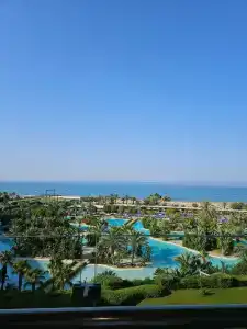 Adam & Eve - Adult Only - 88