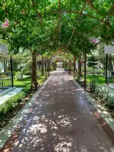 Club Turan Prince World - Kids Concept - 8