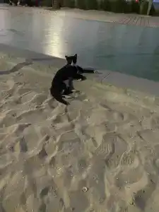 Towers Rotana - Dubai - 98