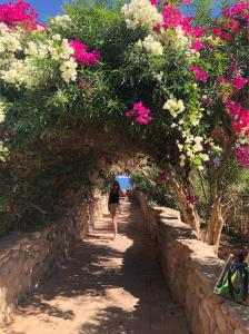 Domina Coral Bay Resort, Diving , Spa & Casino - 54