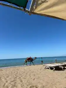 Belconti Resort - 22