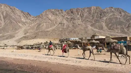 Happy Life Village Dahab - 7