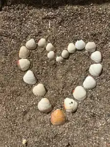 Lara Garden Butik - 44