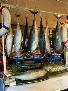 Alexia Resort & Spa - All Inclusive - 50