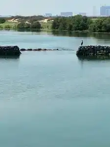 The Cove Rotana Resort - Ras Al Khaimah - 33