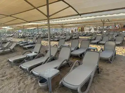 Tuı Magic Life Jacaranda - 42