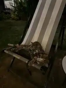 White City Resort - Ultra All Inclusive - 81