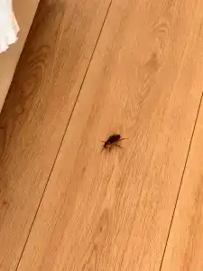 Azure By Yelken - 90