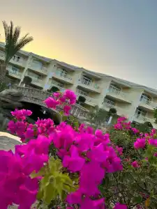 Palm Royale Resort - Soma Bay - 65