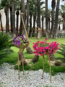 Monachus Family Resort Sorgun - 74