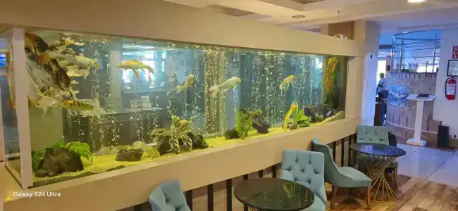 Sealife Family Resort - 18