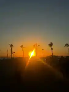 Amons Belek - Adult Only - 69