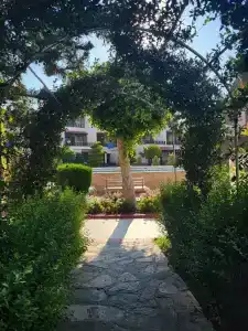 Grand Nar Adults Only - 87