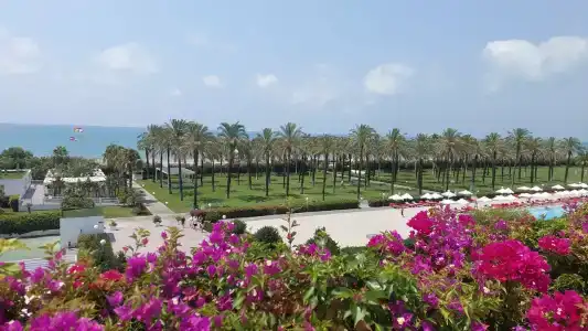 Adam & Eve - Adult Only - 45