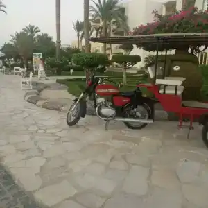 Seagull Beach Resort - Families and Couples Only - 27