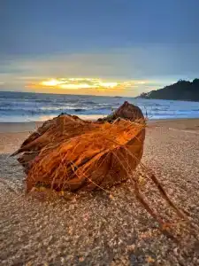 The Briza Beach Resort, Khao Lak SHA Extra Plus - 78