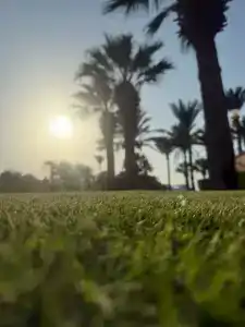 Pickalbatros White Beach Resort - Hurghada - 85