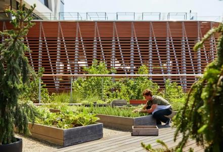 The William Vale - 20