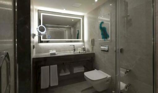 DoubleTree by Hilton Istanbul - Sirkeci - 81
