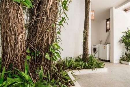 Whalecome Aonang Resort-SHA Extra Plus - 28