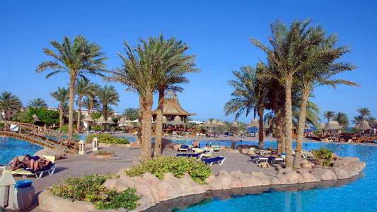 Parrotel Beach Resort - 66