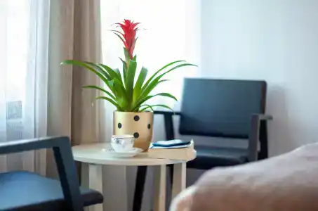 Old Town Point & Spa Antalya - 33