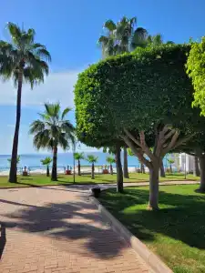 Lonicera Premium - Ultra All Inclusive - 67