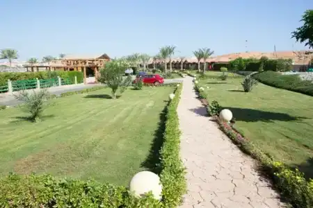 Xperience Golden Sandy Beach - 77