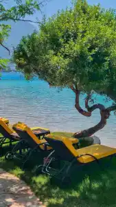 Suncity - Beach Club - 13