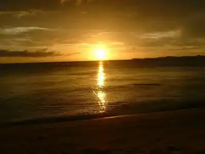 Palm Point Village - 1