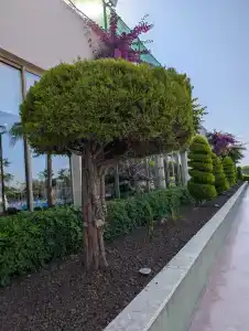 Lucida Beach - All Inclusive - 11