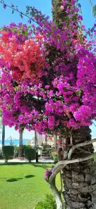 Grand Nar Adults Only - 20