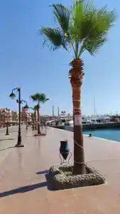 Sunny Days Palma De Mirette Resort & Spa - 53