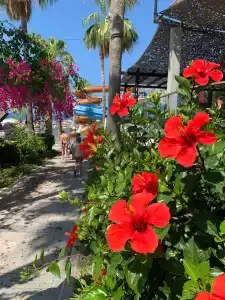 Laguna Beach Alya Resort & Spa - 65