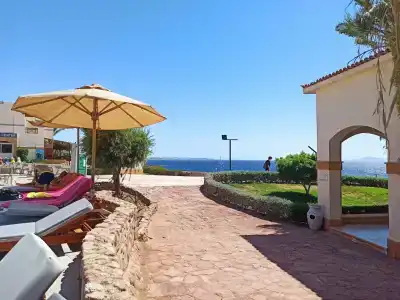 Amphoras Blu - 100