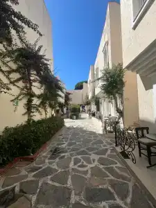 Cactus Fleur Beach - 41