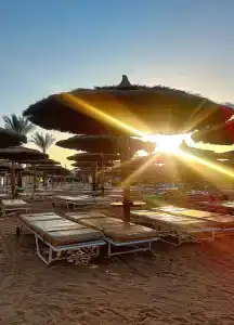 Seagull Beach Resort - Families and Couples Only - 5