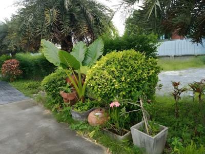 QG Resort - 97