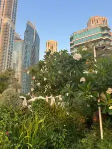 Hilton Dubai The Walk - 69