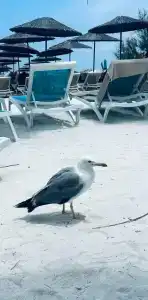 Baia Kemer Club - 40