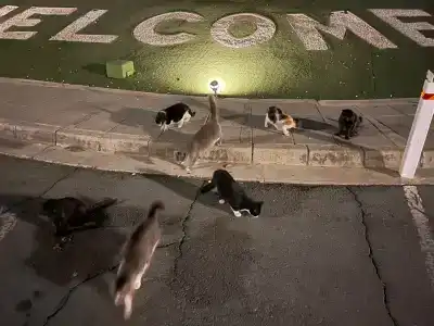 Atlantica Miramare Beach - 26