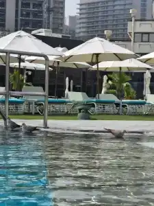 Le Meridien Abu Dhabi - 76