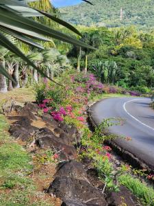 La Pirogue Mauritius - 44