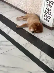 Kleopatra Melissa - 29