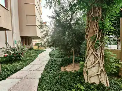 Saritas ONLY FAMILY CONCEPT - 92