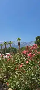 Loxia Comfort Resort Kemer - 21