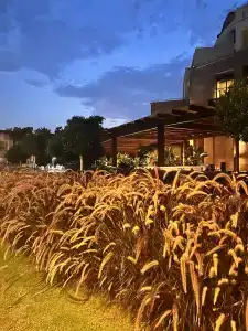 Kaya Palazzo Golf Resort - 50