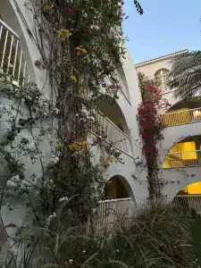 Desert Rose Resort - 36