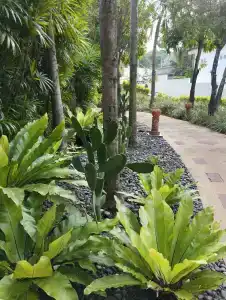 Centara Kata Resort Phuket - SHA Plus - 92