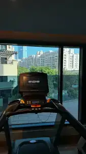 Adagio Premium The Palm - 64